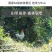 山东省临沂市平邑县黄草坡鸡蛋农家散养正宗笨鸡蛋新鲜草鸡蛋