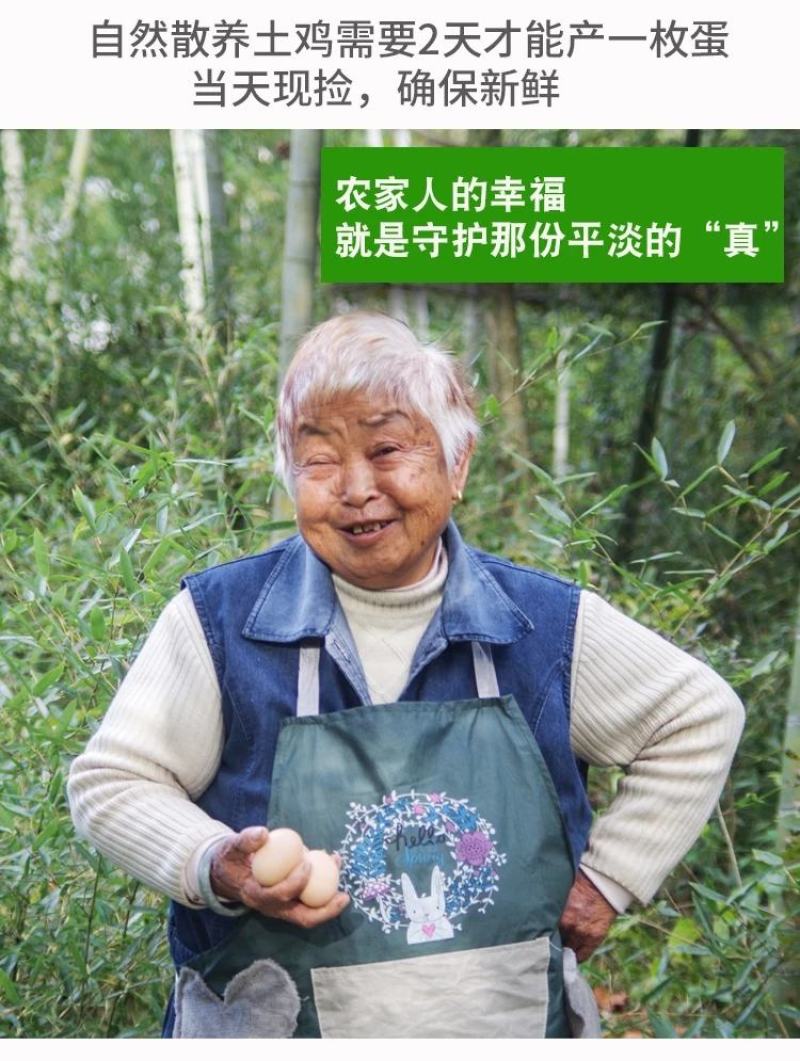 山东省临沂市平邑县黄草坡鸡蛋农家散养正宗笨鸡蛋新鲜草鸡蛋
