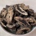 升麻中药材500克包邮野生升麻片周升麻