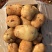 土豆已大量上市，三两起步，欢迎选购