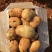土豆已大量上市，三两起步，欢迎选购