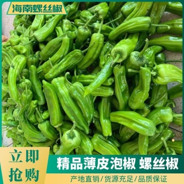 临高加来精品泡椒大掉价今天