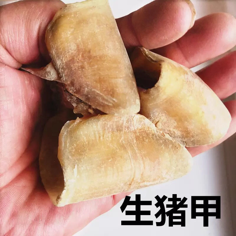 猪蹄甲猪指甲批发零售中药材品质保证