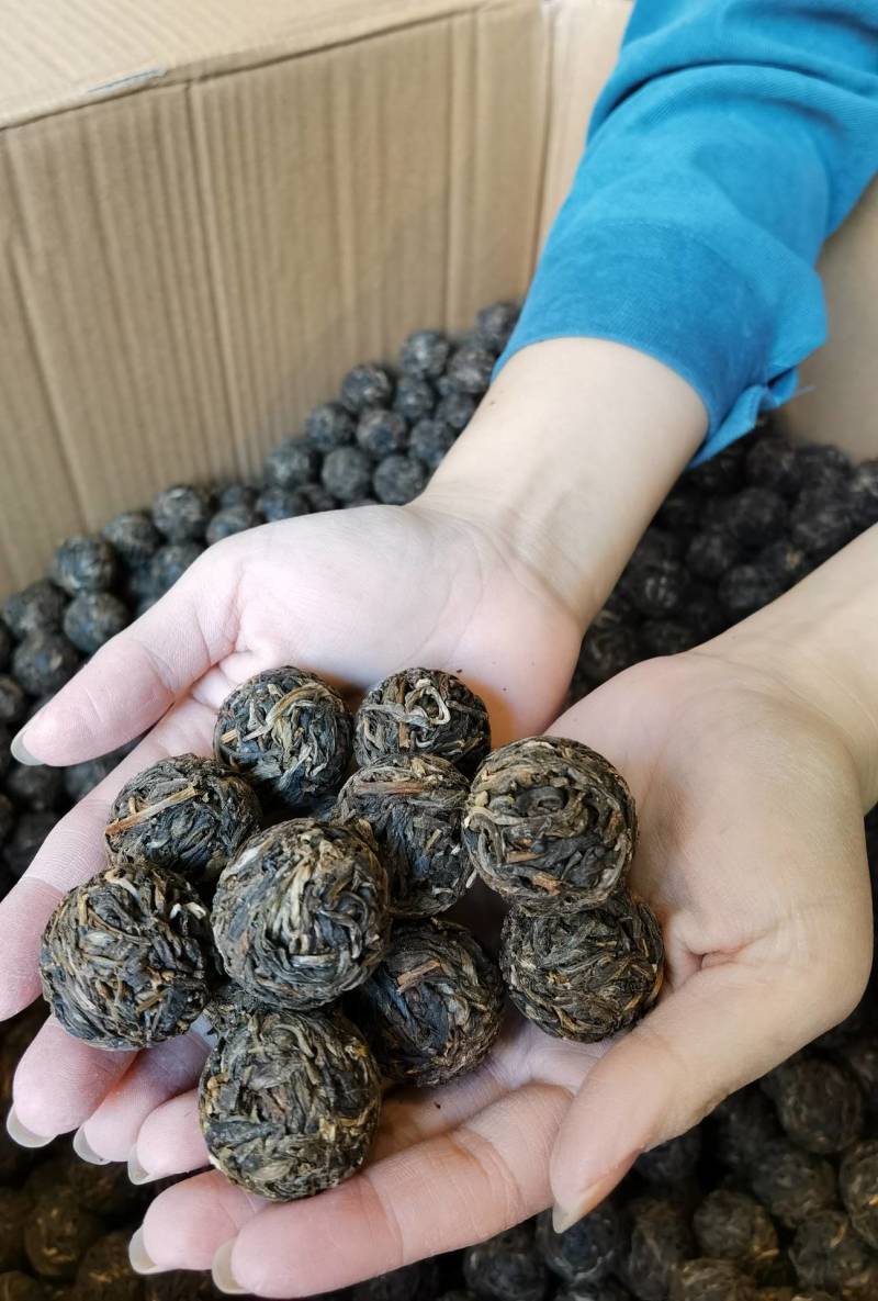 原产地直销普洱茶云南西双版纳易武生态茶