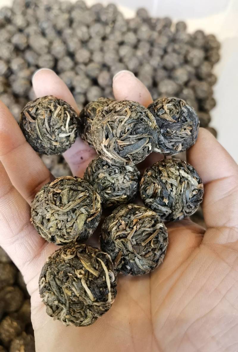 原产地直销普洱茶云南西双版纳易武生态茶