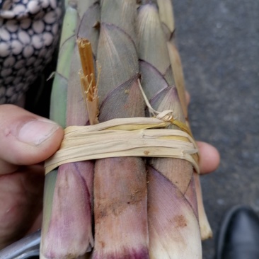 新鲜春笋批发（季节性野生产品）高山绿色食品，口感美味