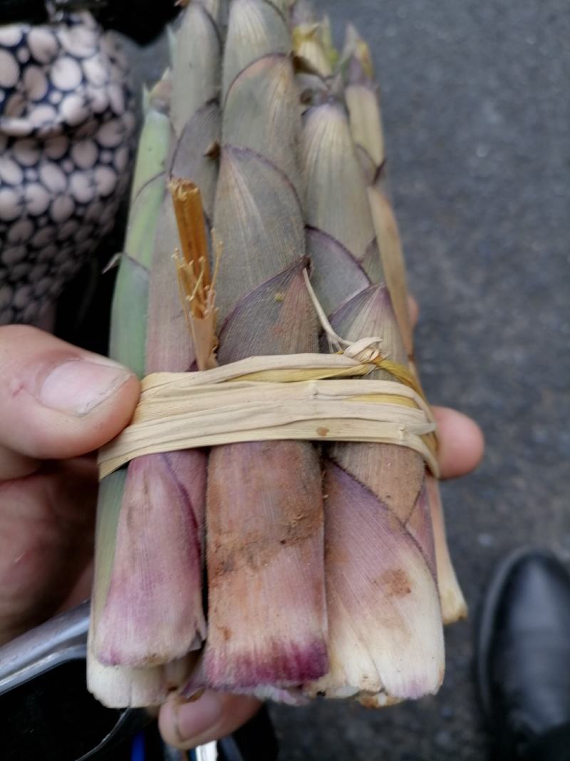 新鲜春笋批发（季节性野生产品）高山绿色食品，口感美味