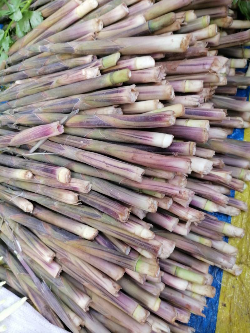 新鲜春笋批发（季节性野生产品）高山绿色食品，口感美味