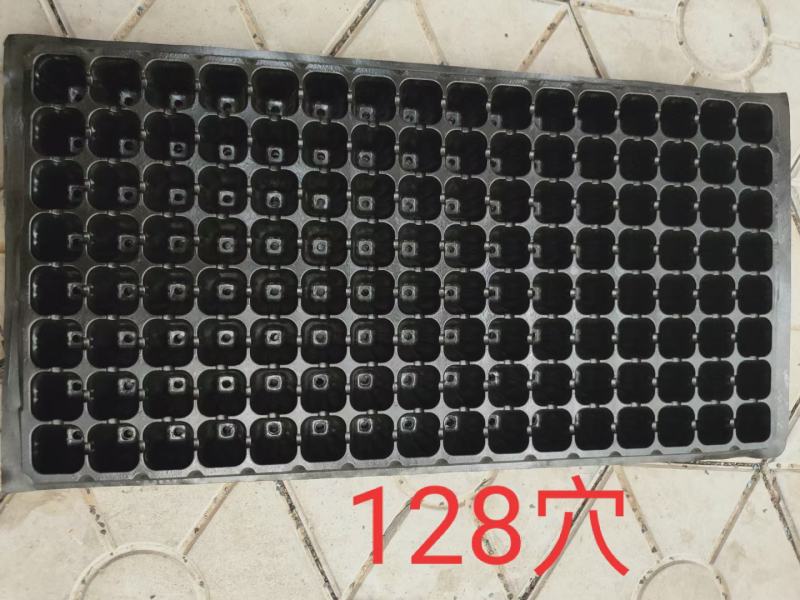 穴盘厂家批发货源充足各种穴盘应有尽有