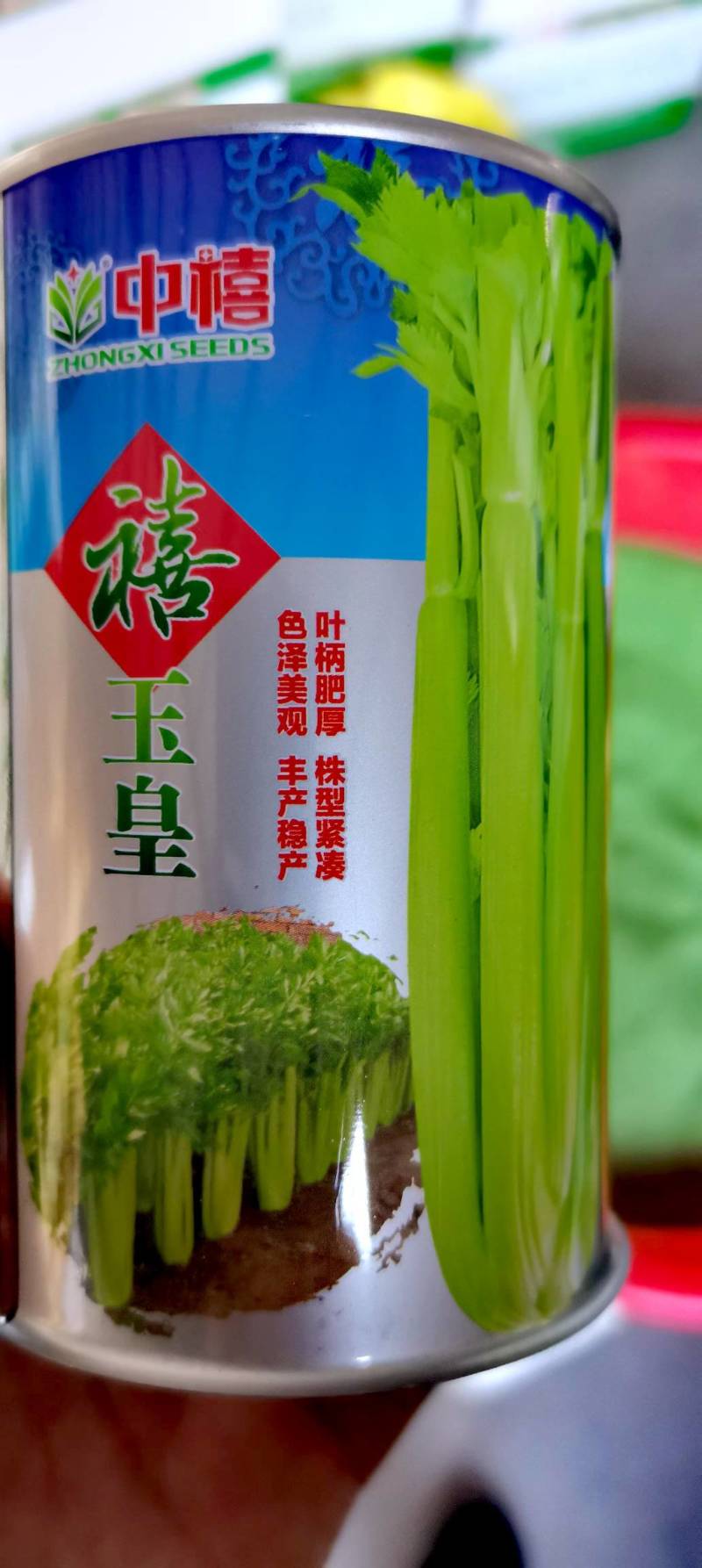 西芹种子禧玉皇早熟实心叶柄宽厚质地脆嫩抗病高产
