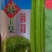 西芹种子禧玉皇早熟实心叶柄宽厚质地脆嫩抗病高产