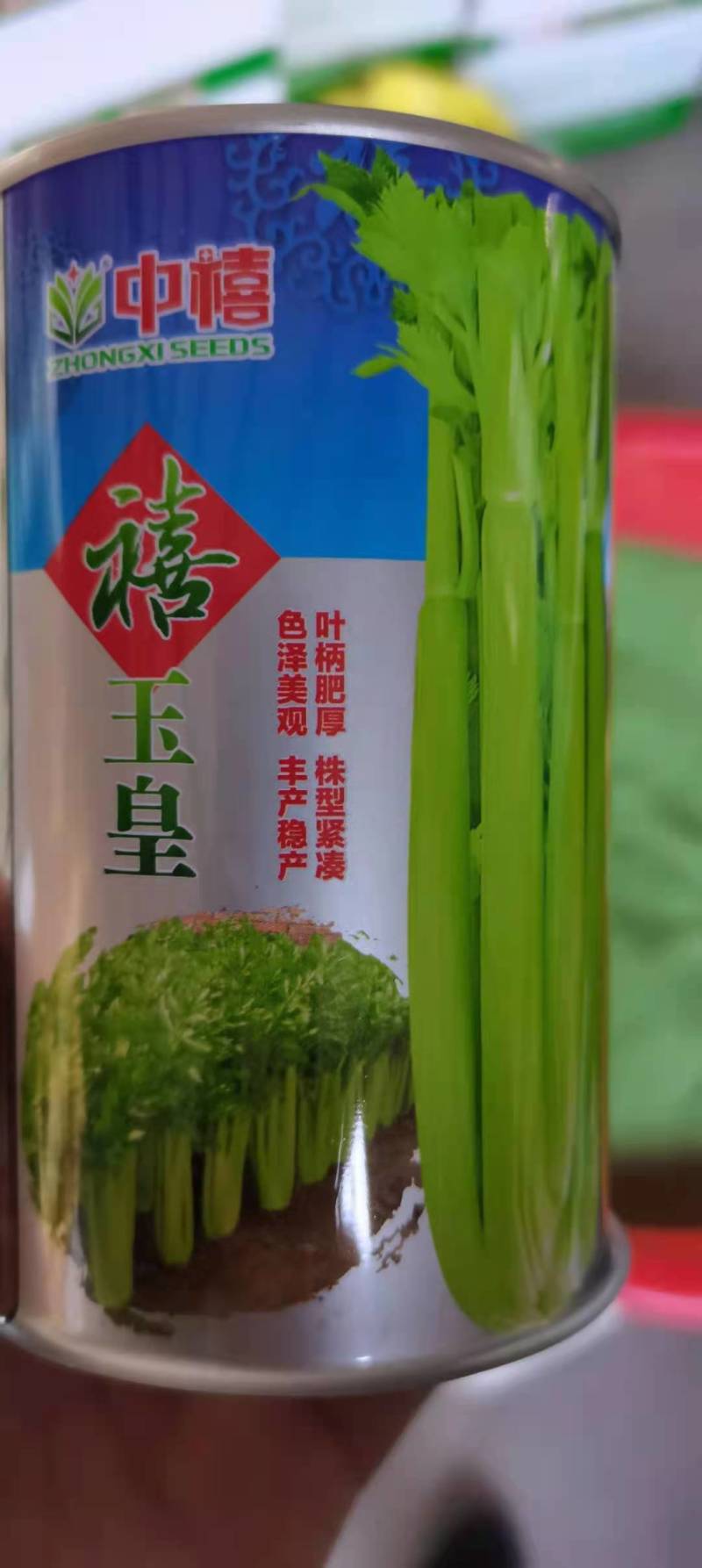 西芹种子禧玉皇早熟实心叶柄宽厚质地脆嫩抗病高产