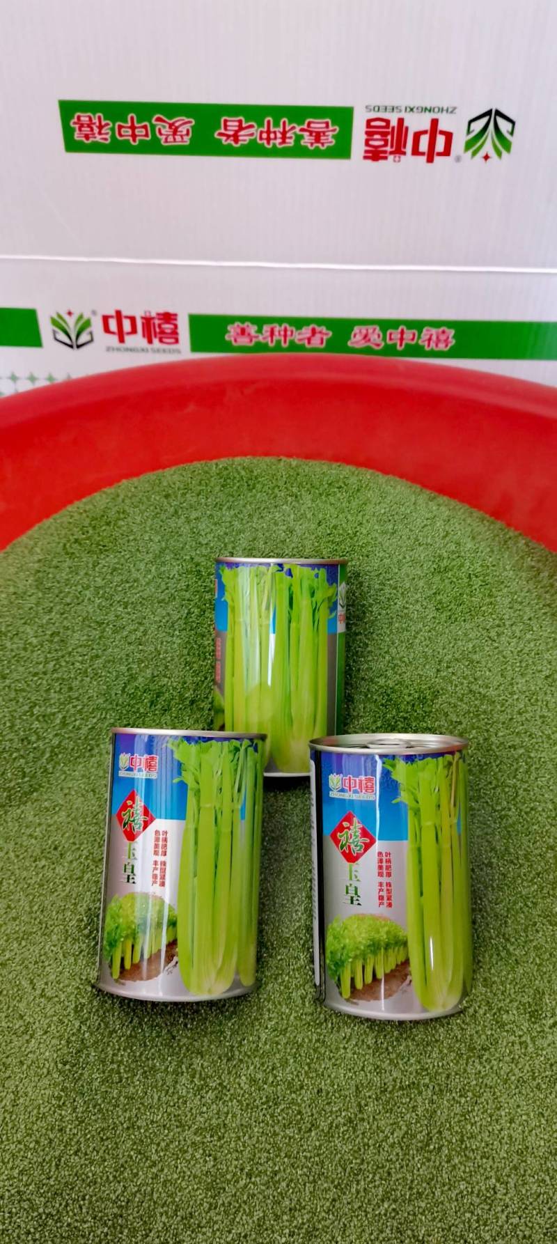 西芹种子禧玉皇早熟实心叶柄宽厚质地脆嫩抗病高产