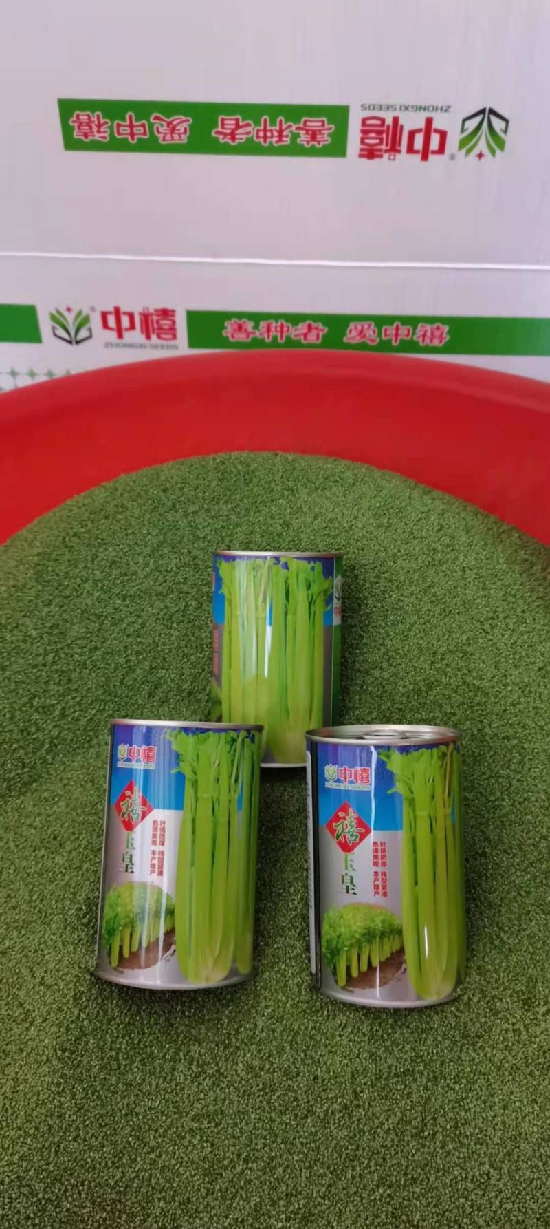西芹种子禧玉皇早熟实心叶柄宽厚质地脆嫩抗病高产