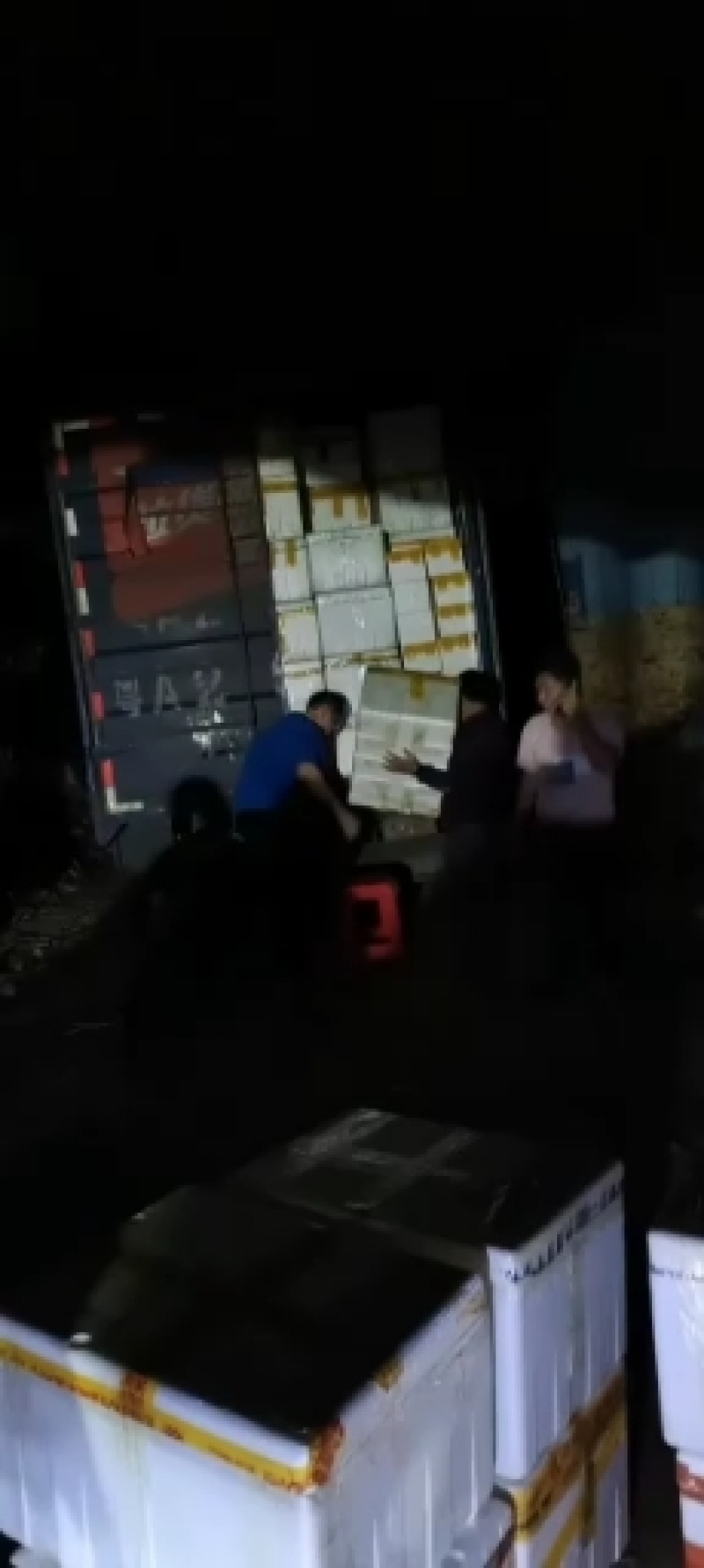 草鱼苗鲩鱼苗白草鱼鱼苗四大家鱼苗淡水包活包邮快