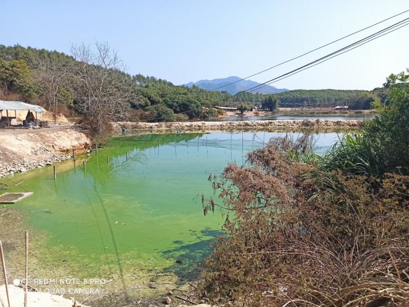 惠州市惠东县塘口招租