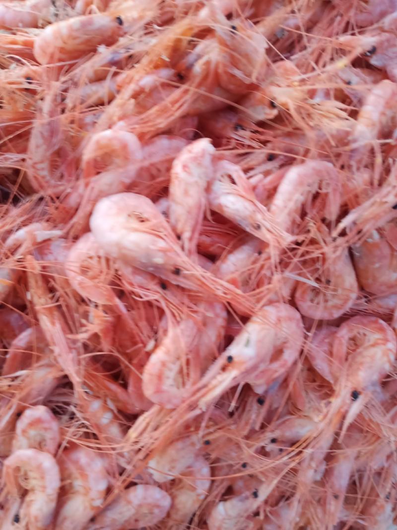 红虾皮磷虾米油炸原料无盐淡干保质保量