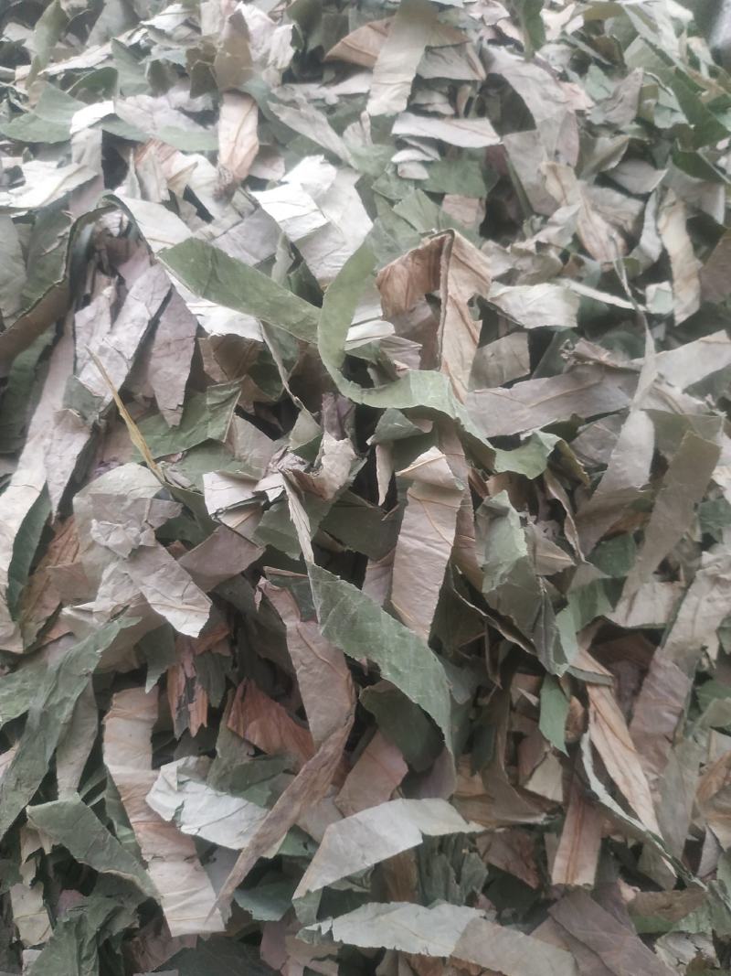 荷叶～荷叶丝@~新货量大优惠～1公斤起售~欢迎咨询采购