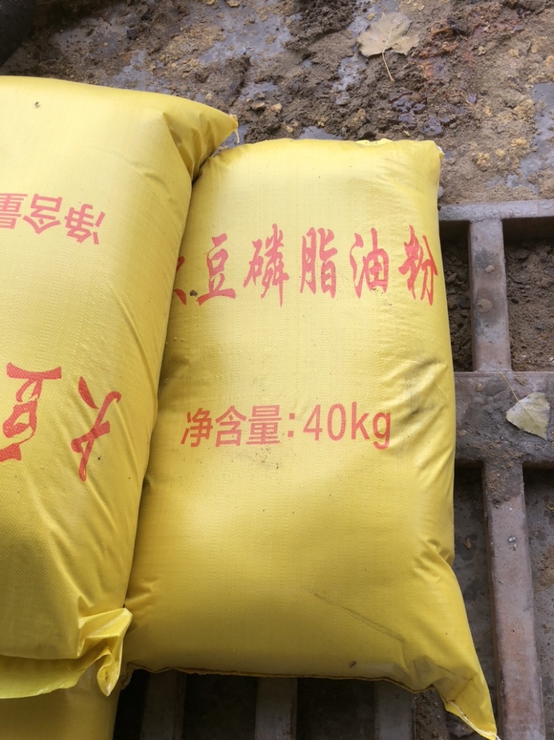大豆磷脂粉，磷脂油，