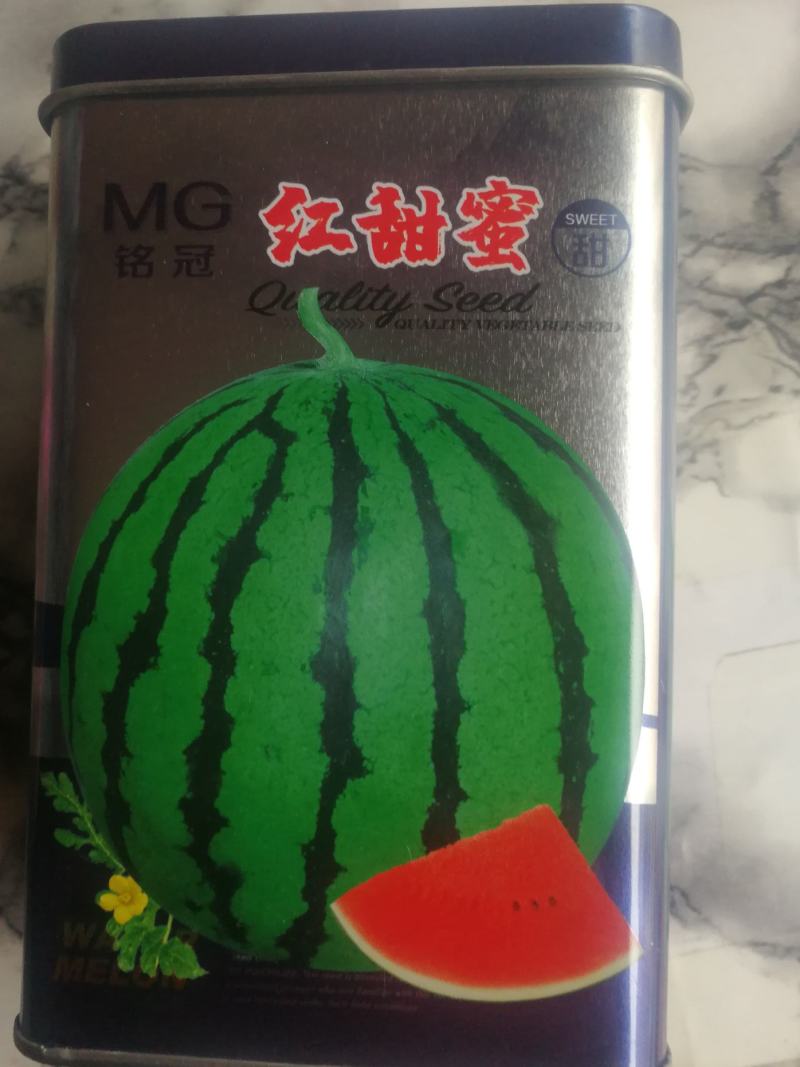红甜蜜西瓜，抗病特大西瓜耐重茬，易坐果