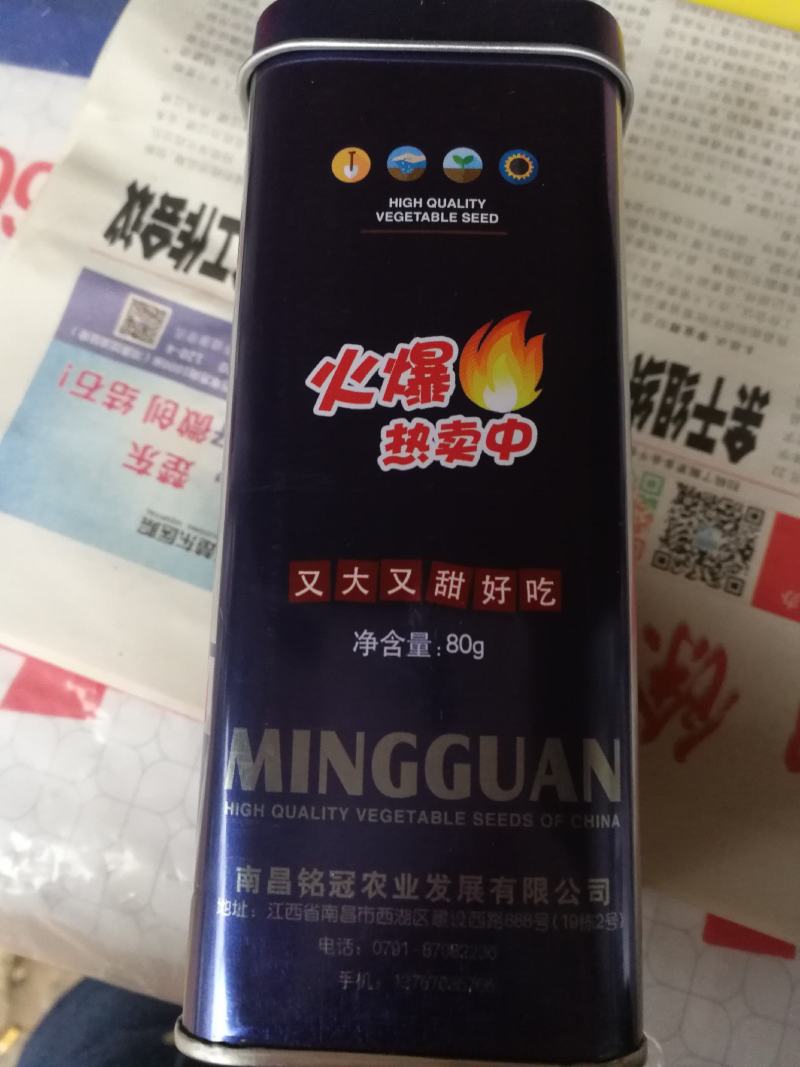 红甜蜜西瓜，抗病特大西瓜耐重茬，易坐果