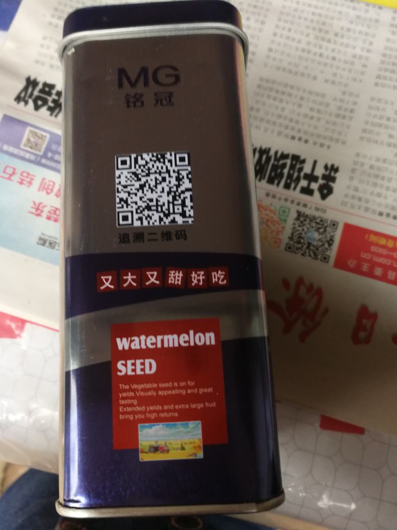 红甜蜜西瓜，抗病特大西瓜耐重茬，易坐果