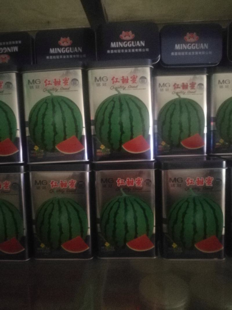 红甜蜜西瓜，抗病特大西瓜耐重茬，易坐果