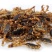 中药材新货清水蝎子干全虫清水全蝎干蝎子盐水蝎子药用食用