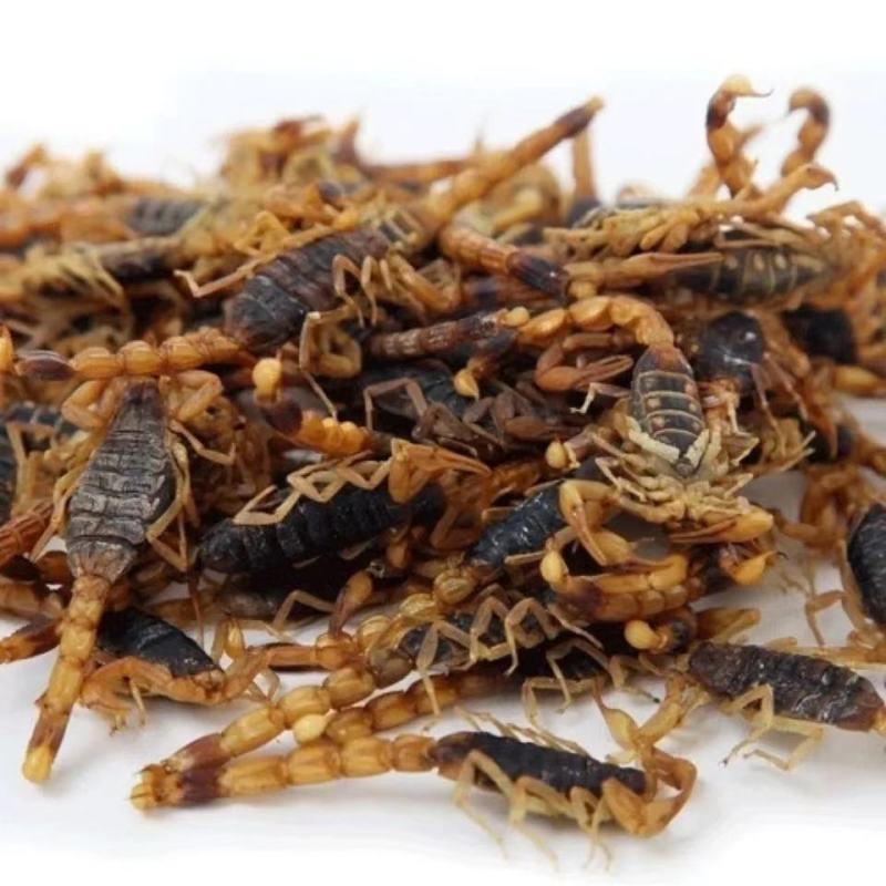 中药材新货清水蝎子干全虫清水全蝎干蝎子盐水蝎子药用食用