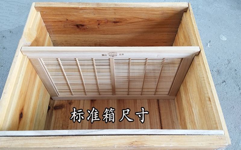 隔王板中蜂立式标准竹制蜂王防盗器蜂箱隔王栅蜜蜂隔王片5个