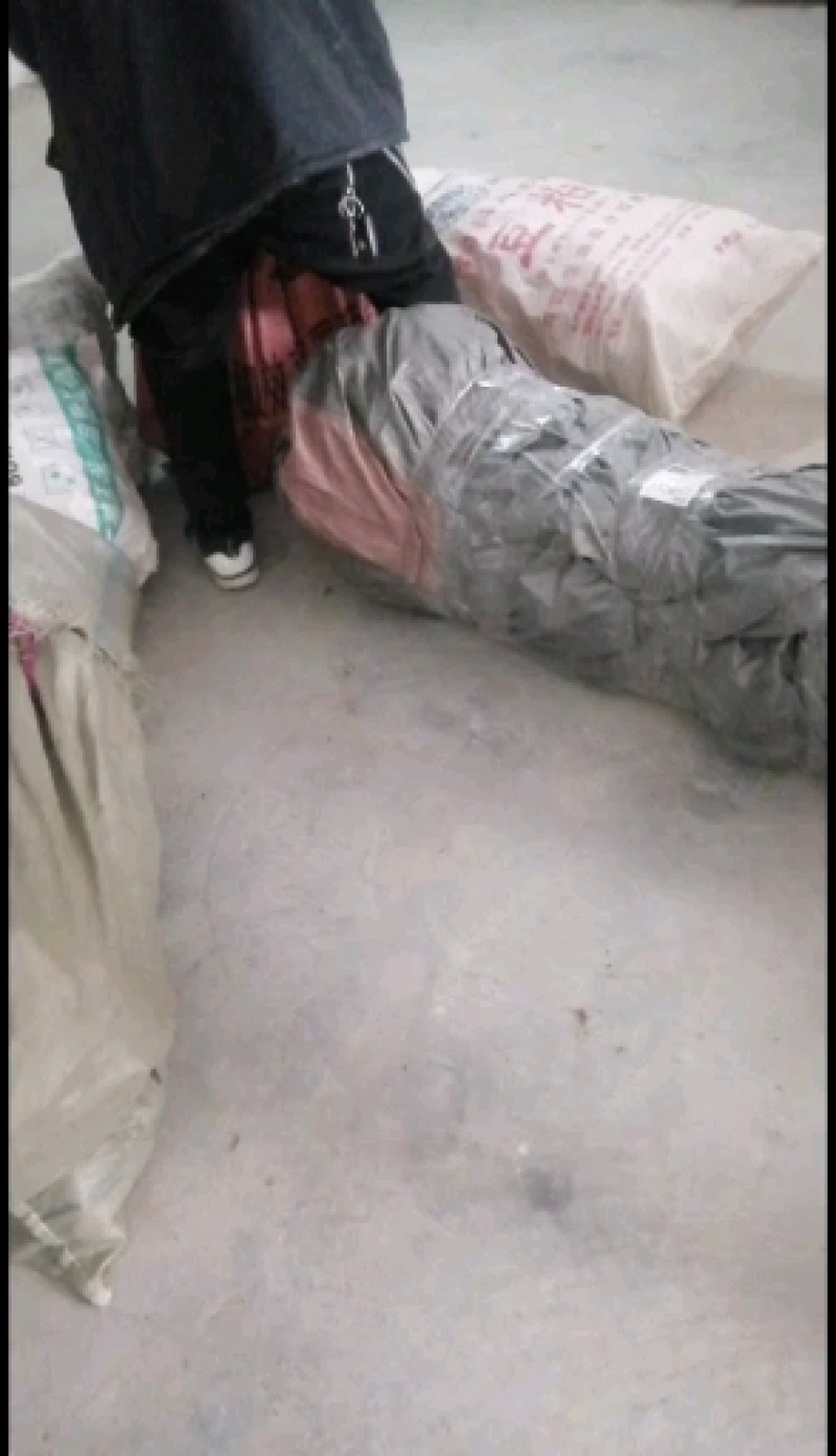 【好货源多多】红叶碧桃，自己家苗圃培育的苗