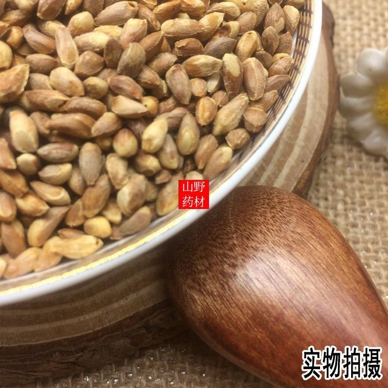 云南野生中药材柏子仁壳柏籽仁壳500g包邮