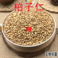 柏子仁去壳精品净货批发各种中药材