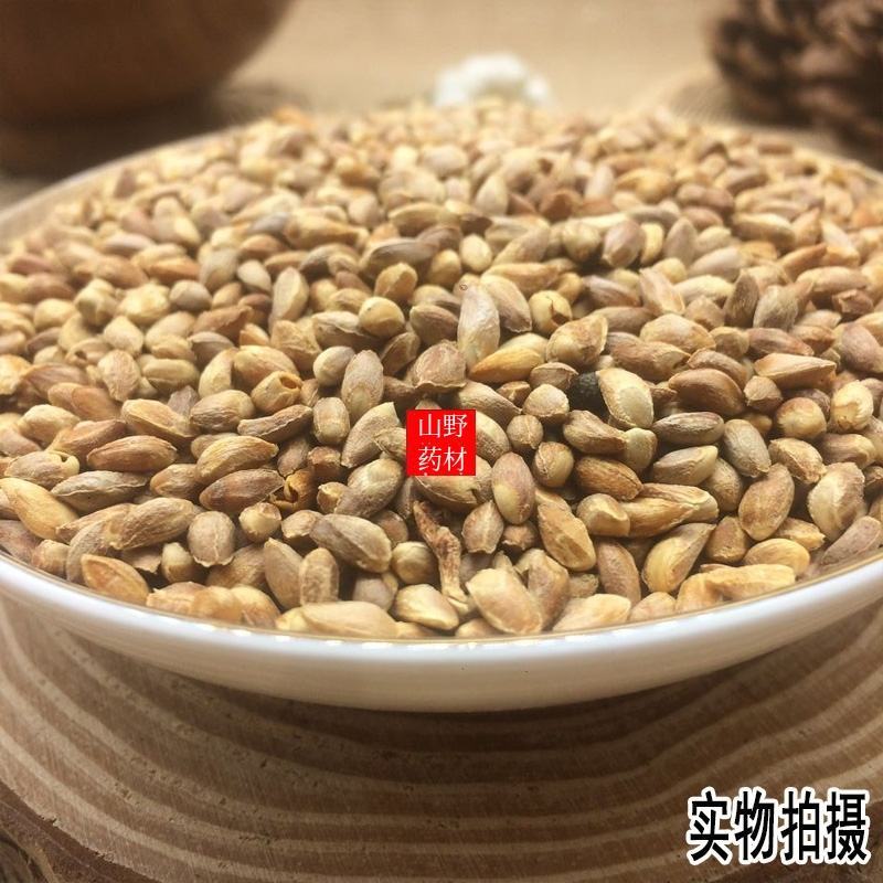 云南野生中药材柏子仁壳柏籽仁壳500g包邮