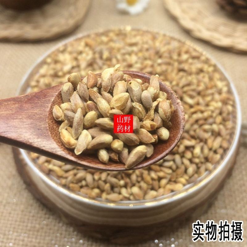 云南野生中药材柏子仁壳柏籽仁壳500g包邮