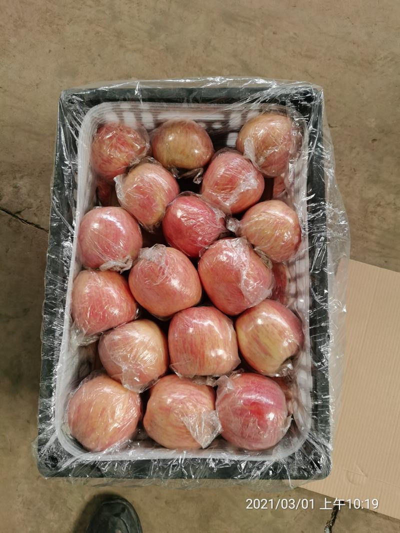 纸加膜红富士牛商荣誉六年老店条红片红临猗万荣坡冰糖心苹果电商