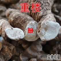 50g云南中药材重楼蚤休七叶一枝花