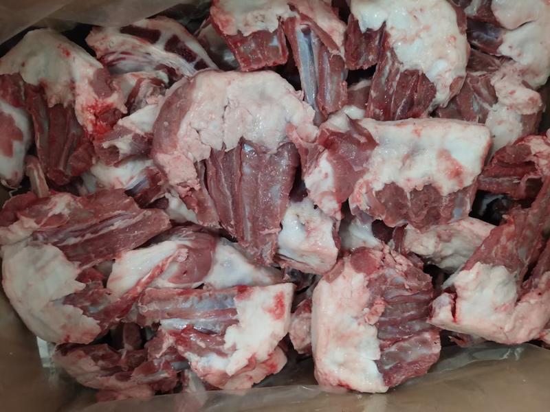 内蒙古锡林浩特新鲜6片装羔羊排质量保证现货