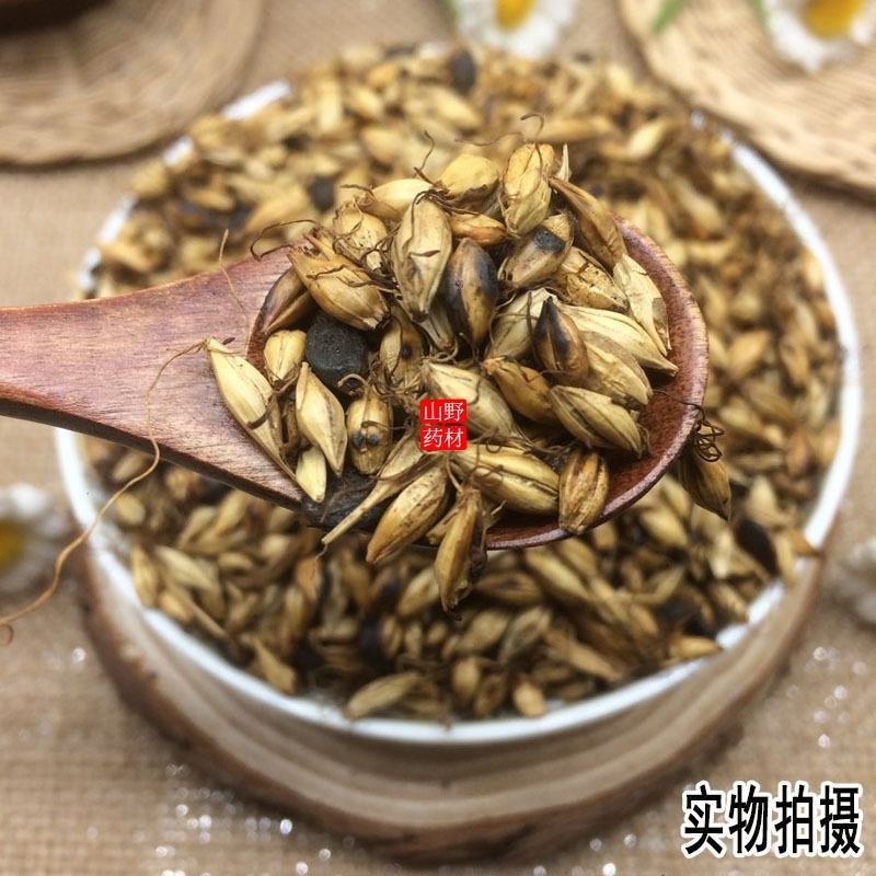 云南中药材炒麦芽大麦芽回奶断奶降低泌乳素500