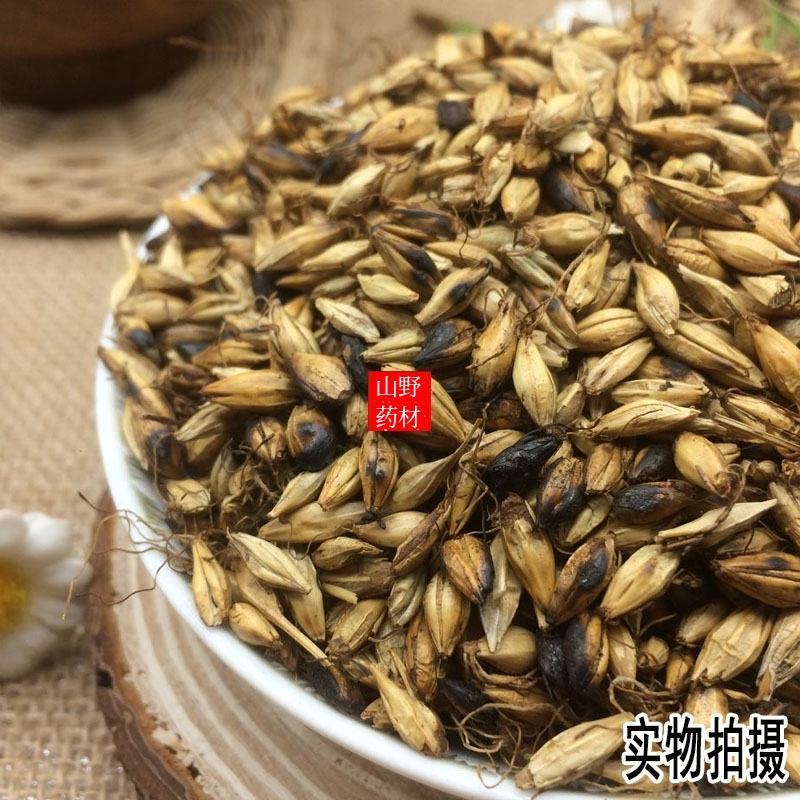 云南中药材炒麦芽大麦芽回奶断奶降低泌乳素500