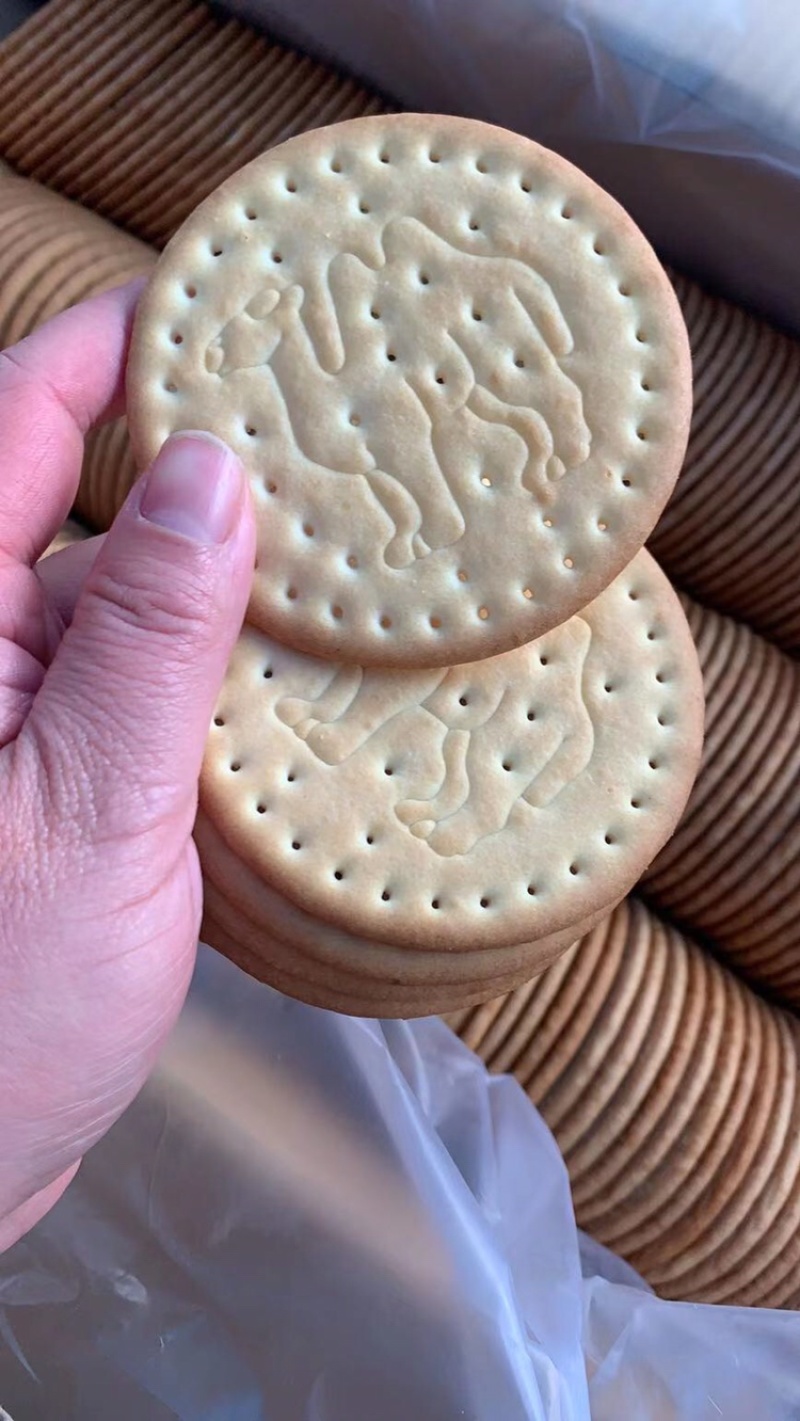 驼奶饼干中老年人零食10斤装送骆驼模型录音