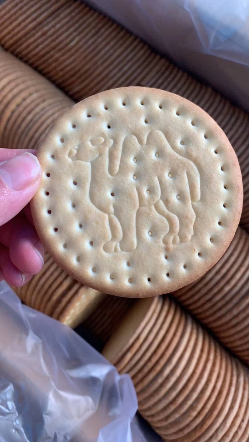 驼奶饼干中老年人零食10斤装送骆驼模型录音