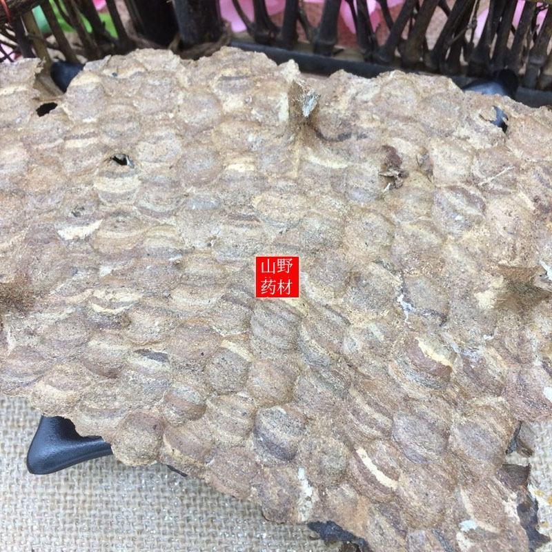 云南中药材蜂房胡蜂巢马蜂窝露蜂房硬蜂房块状