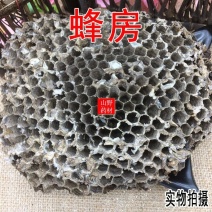 云南中药材蜂房胡蜂巢马蜂窝露蜂房硬蜂房块状