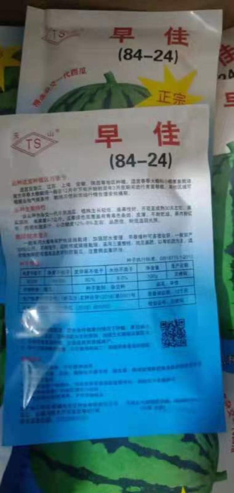 优质西瓜苗84一24包邮