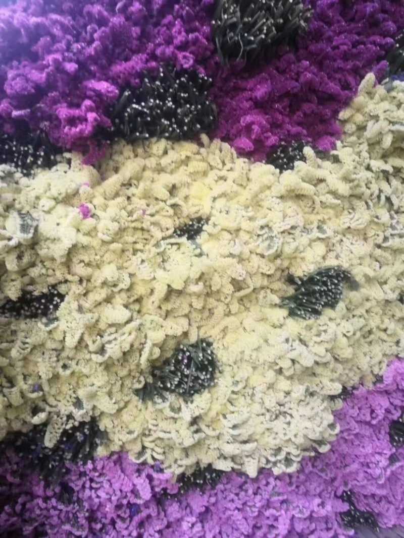 勿忘我鲜花，蓝色，粉色，红色，黄色，紫色，红水晶，黄水晶，