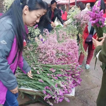 勿忘我鲜花，蓝色，粉色，红色，黄色，紫色，红水晶，黄水晶，