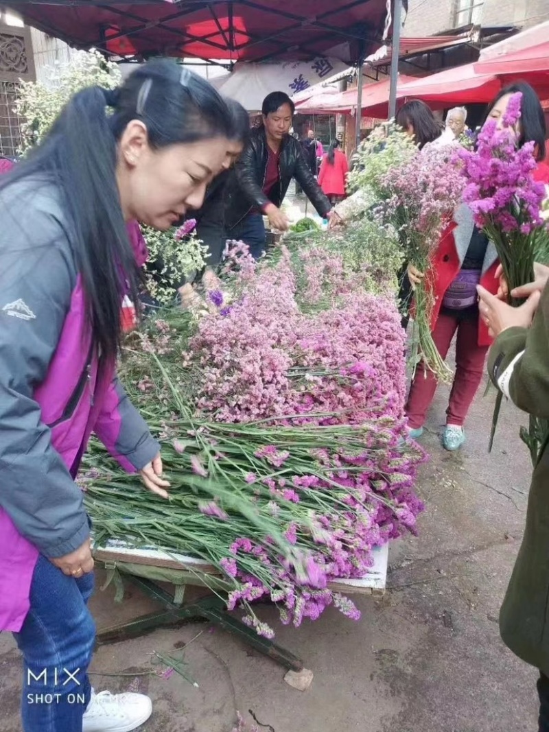 勿忘我鲜花，蓝色，粉色，红色，黄色，紫色，红水晶，黄水晶，