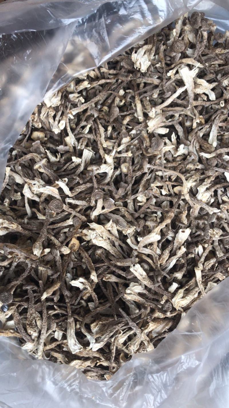 鹿茸菇干菌食用菌鹿茸菇全国发货量大从优