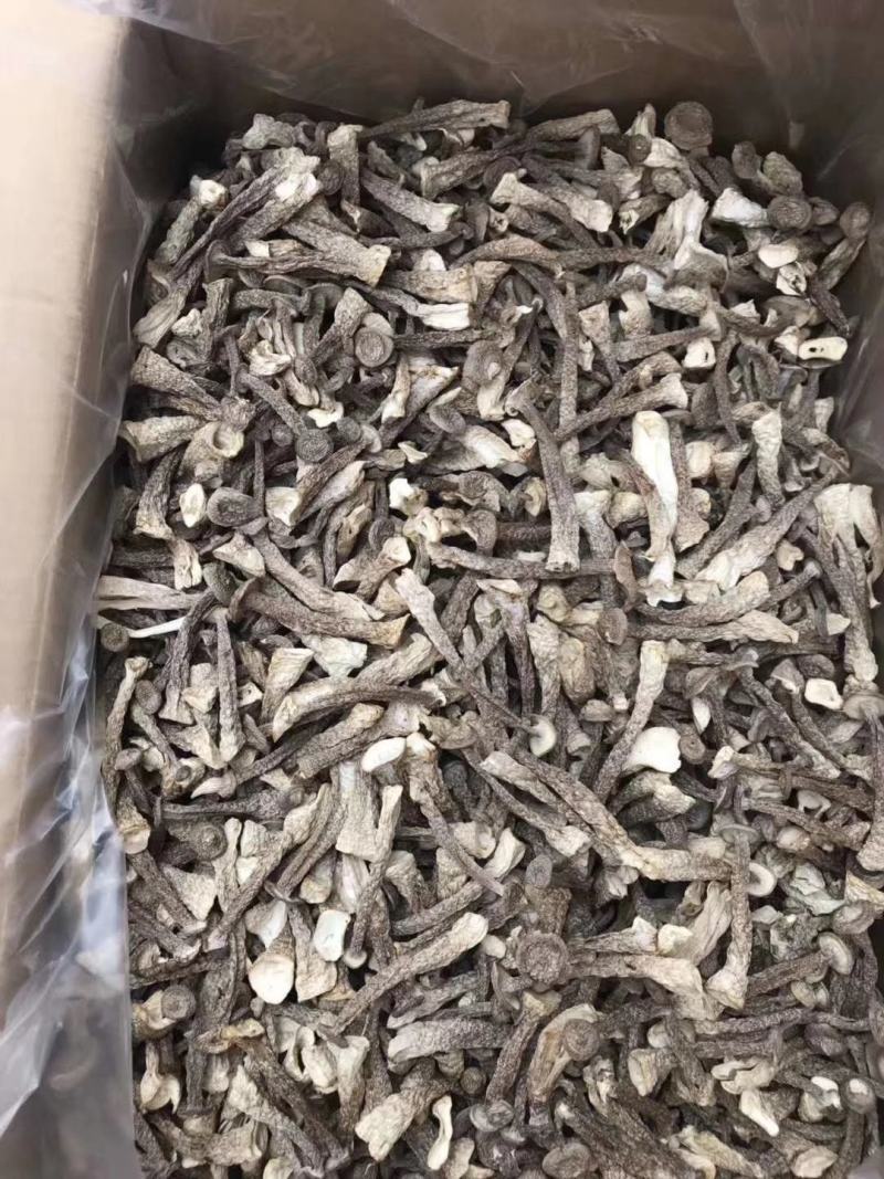 鹿茸菇干菌食用菌鹿茸菇全国发货量大从优